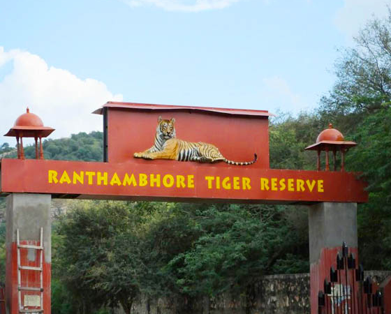 Jaipur Ranthambhore Tours