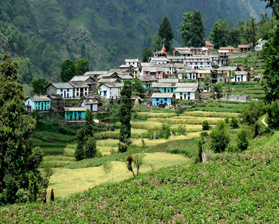 Delhi Corbett Ranikhet Tours