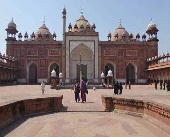 Jaipur Ranthambhore Agra Tours