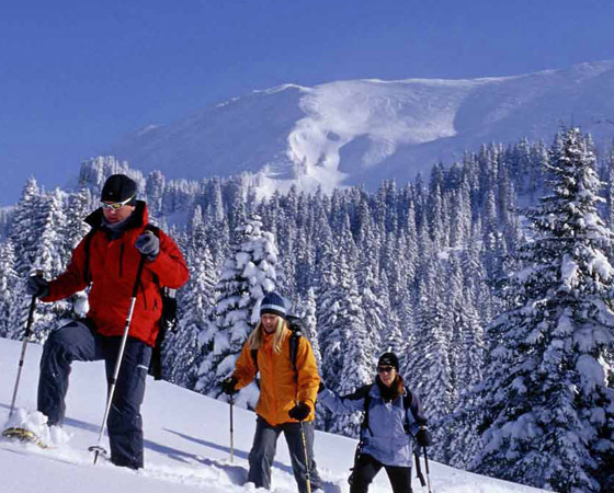 Srinagar Sonamarg Pahalgam Tours