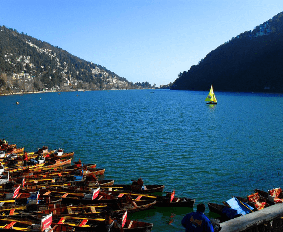 Delhi Nainital Kausani Tours