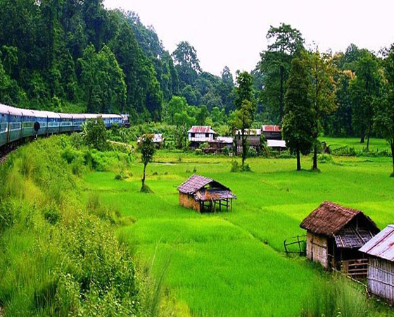 New Jalpaiguri Gangtok Tours