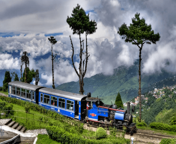 New Jalpaiguri Darjeeling Tours